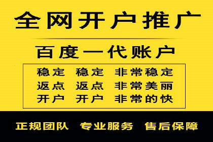 行业内的SEM竞价策略与效果对比案例